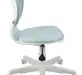Кресло 1139 FW PL White велюр Bliss 10 голубой