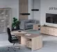 Кабинет руководителя Солид (Solid) Вяз