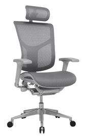 Эргономичное кресло серии Expert Star G HSTM01-G-GY Сетка серая 860x555x660