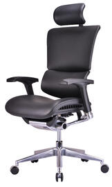 Ортопедическое компьютерное кресло Expert Sail SAL-01-BK-L Кожа черная 725x555x660