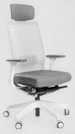 Эргономичное кресло Falto А1 (White) AON-11WAL/GY-GY Спинка сетка серая/сиденье ткань серая 770x640x380