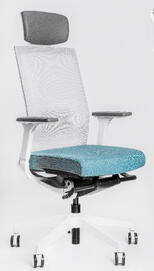 Эргономичное кресло Falto А1 (White) AON-11WAL/GY-BL Спинка сетка серая/сиденье ткань синяя 770x640x380