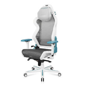Компьютерное кресло DXRacer D7200/WQG Сетка Белый/Серый/Голубой