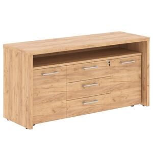 Кабинет руководителя Torr Тумба с фригобаром TTF-3D.1A Венге Магия 1600x550x800